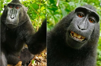 Las "selfies" icónicas de la historia
