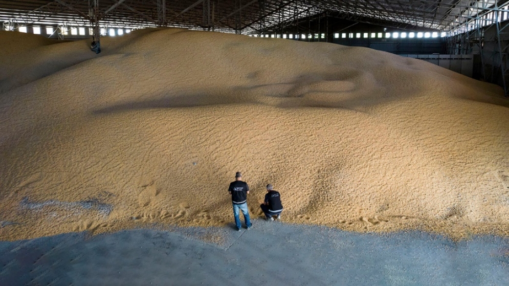 La Aduana detectó &quot;cerealeras truchas&quot; que no ingresaron divisas al país