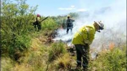 Tratan de  controlar las llamas entre Donovan y Juan W. Gez por incendios